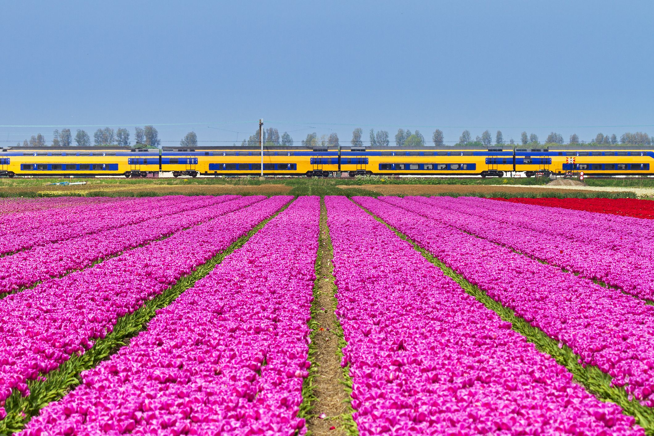 Netherlands launch 49-euro summer train ticket